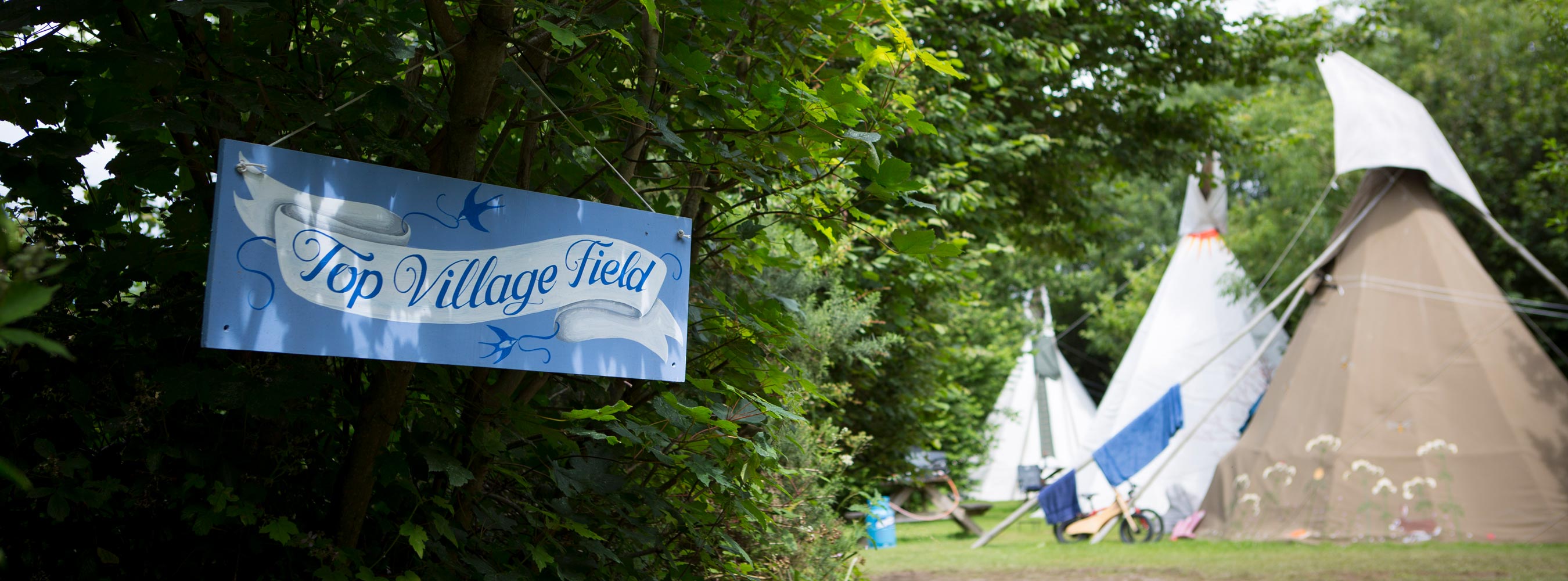 A hand-painted Top Village Field sign hanging in the leaves, with canvas tipis beyond