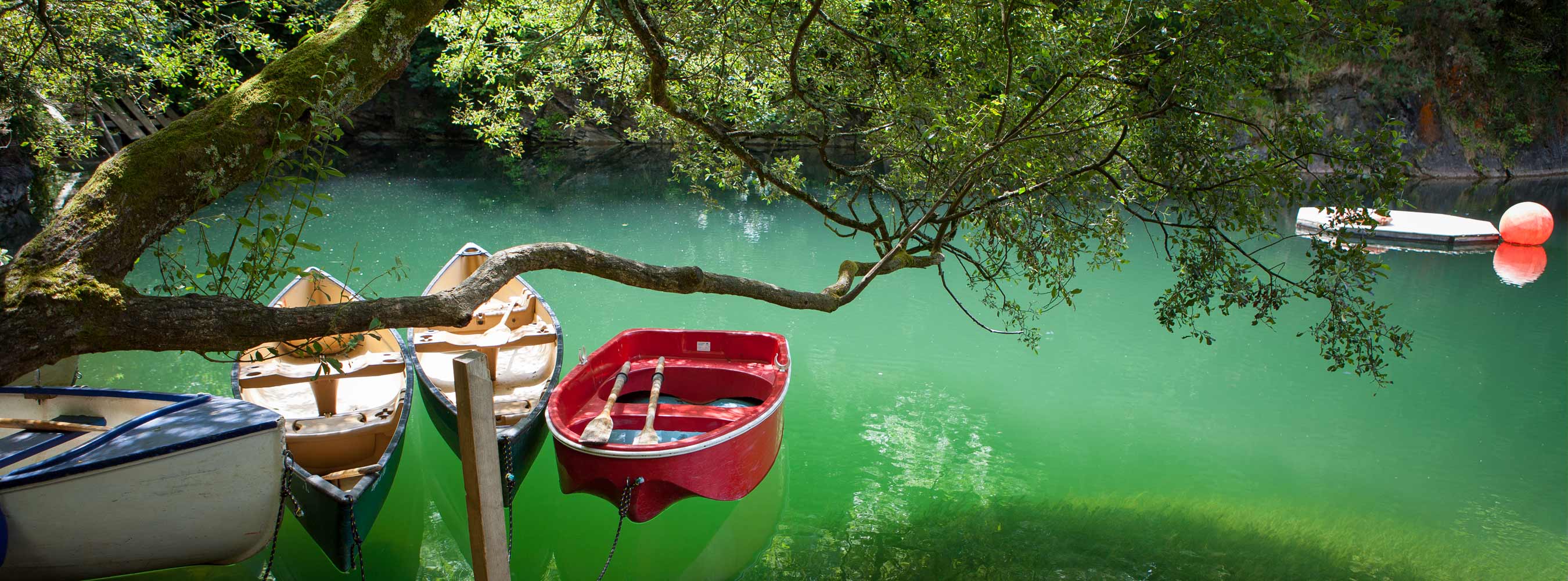 Wooden rowing boats and a red boat moored under trees on the green water of Tregildrans lake